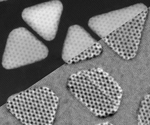 Electron microscope image of 2D/3D material
